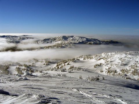 Owlhead Sledding Area