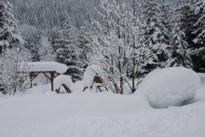 Some lovely winter scenes at Griffin Lake Mountain Lodge