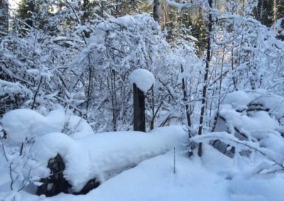 Photos of fresh snow after a storm at Grffin Lake Cabins/Rentals