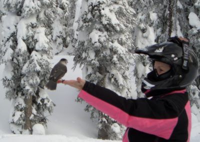 Sharing a snack with Grey Jays on Frisby mountain